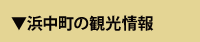 浜中町の観光情報